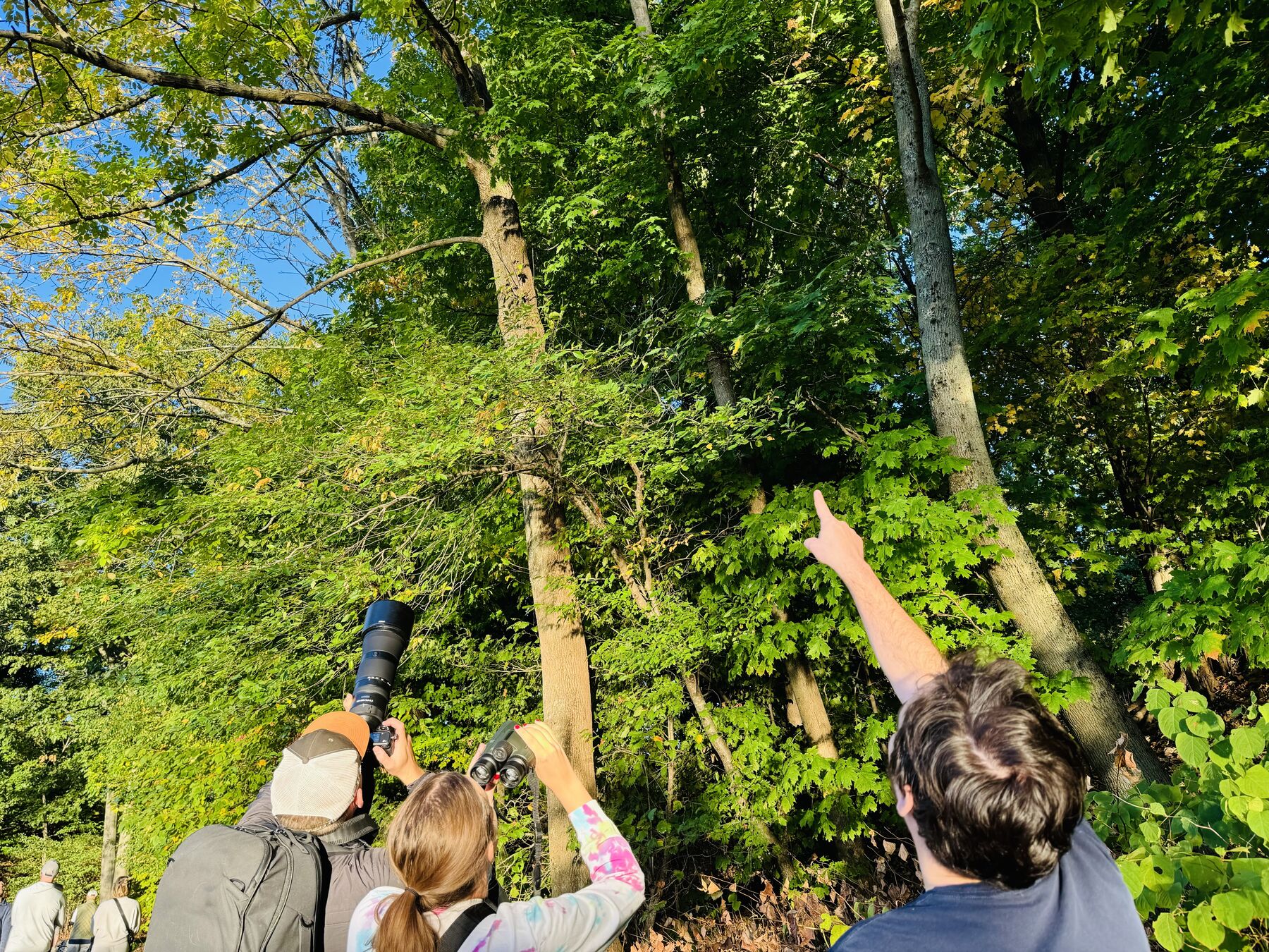 Teammates with binoculars and cameras pointing up into the trees
